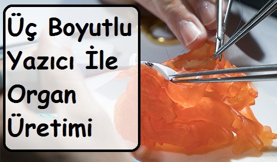 üç boyutlu yazıcı ile organ üretimi