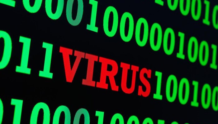 virus